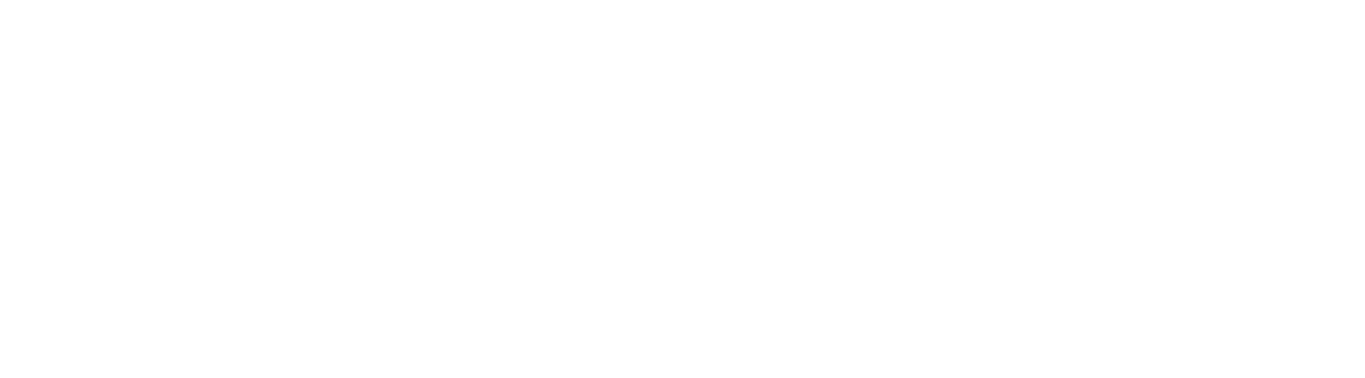 Nizur